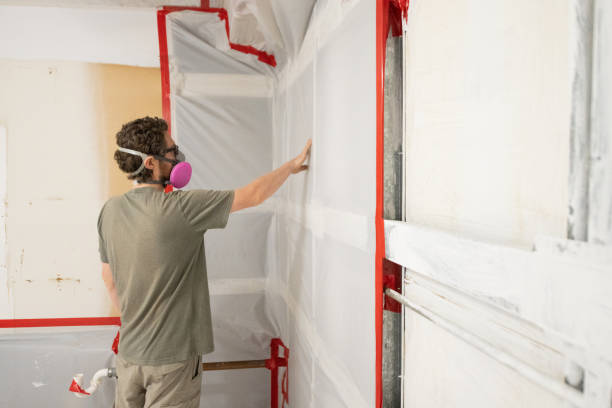 Best Mold Prevention Services  in Pinole, CA
