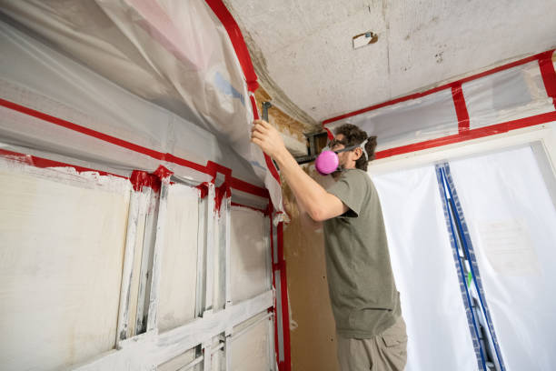 Best Attic Mold Removal  in Pinole, CA